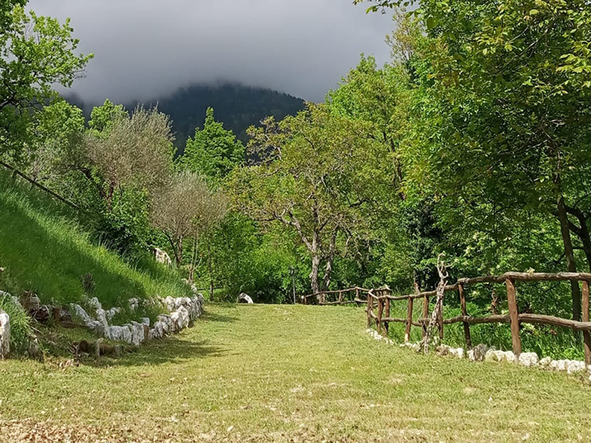 In cammino, incontrando la ricchezza dell’Essere.