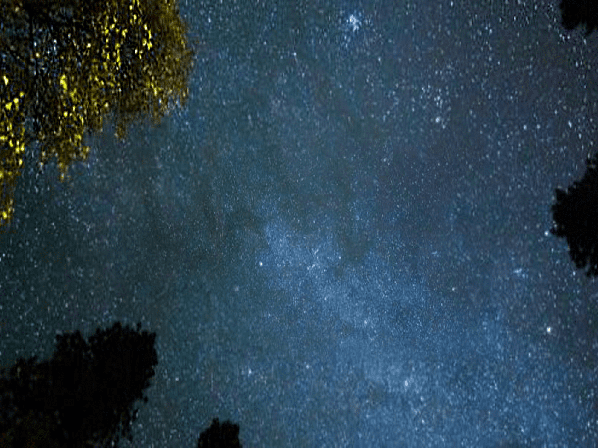 Desiderio e Mito, profondità dell’Essere per un Nuovo Umanesimo