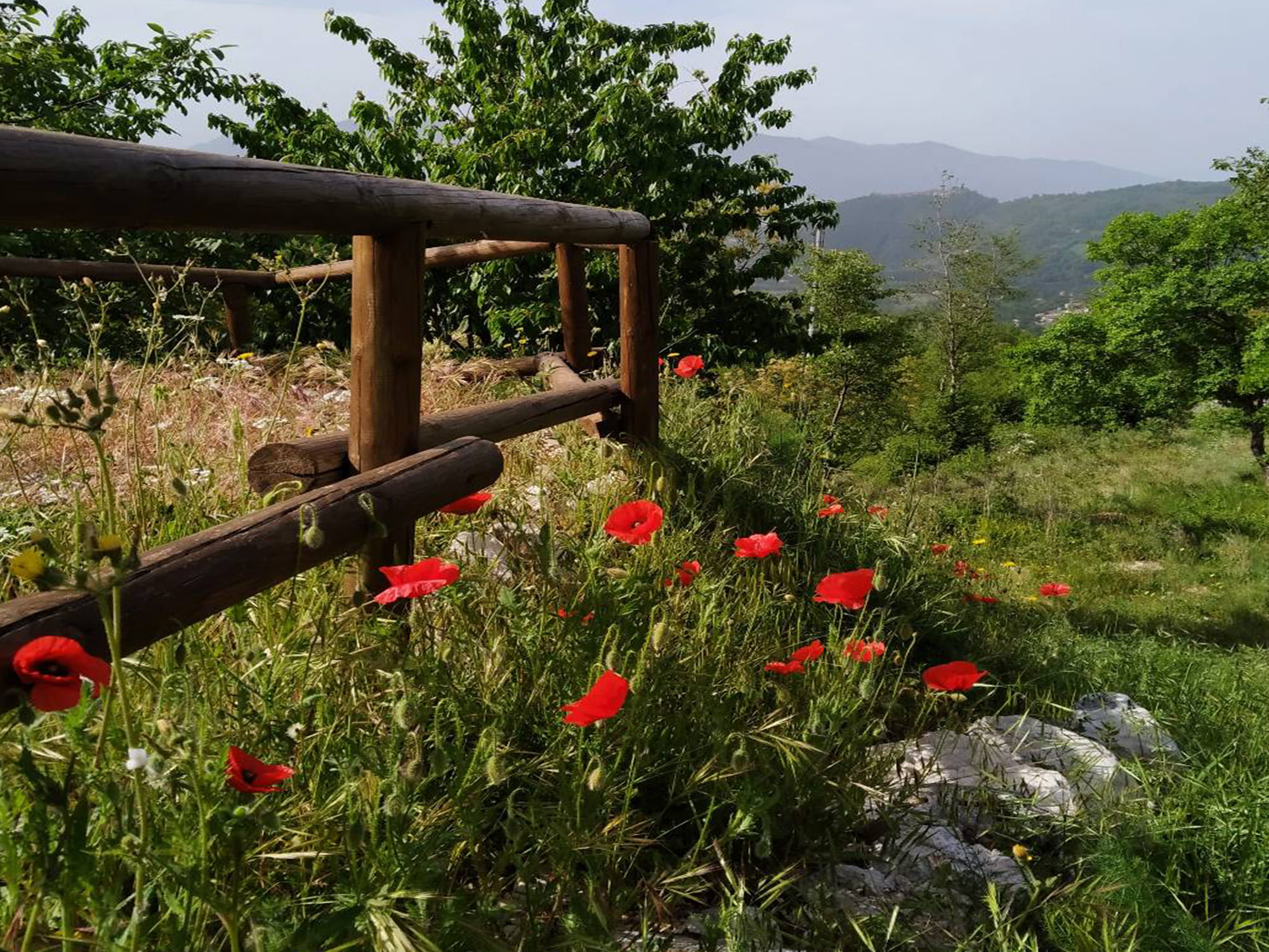 Alla Cominium Benessere per un’esperienza poetico-pensante della Natura